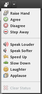 status icons in Adobe Connect virtual classroom