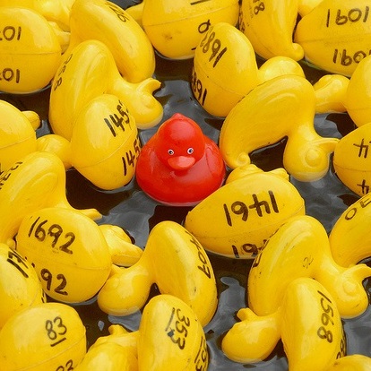 One red plastic duck among many yellow plastic ducks on water