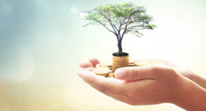 Cupped hands holding money and a potted tree.