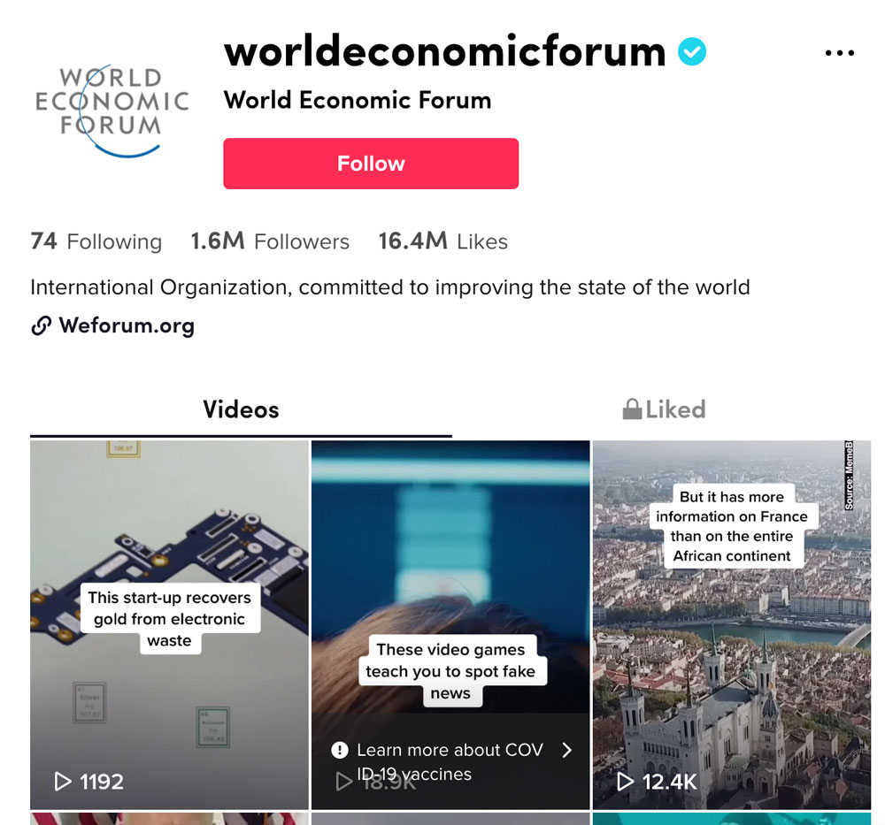 World Economic Forum on TikTok. Full description and transcript below under summary field labelled 'Open description and transcript of image'.