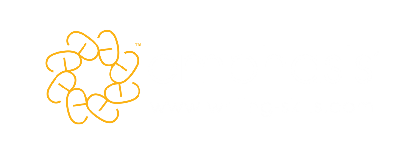 Emphasis Training : improve your writing skills